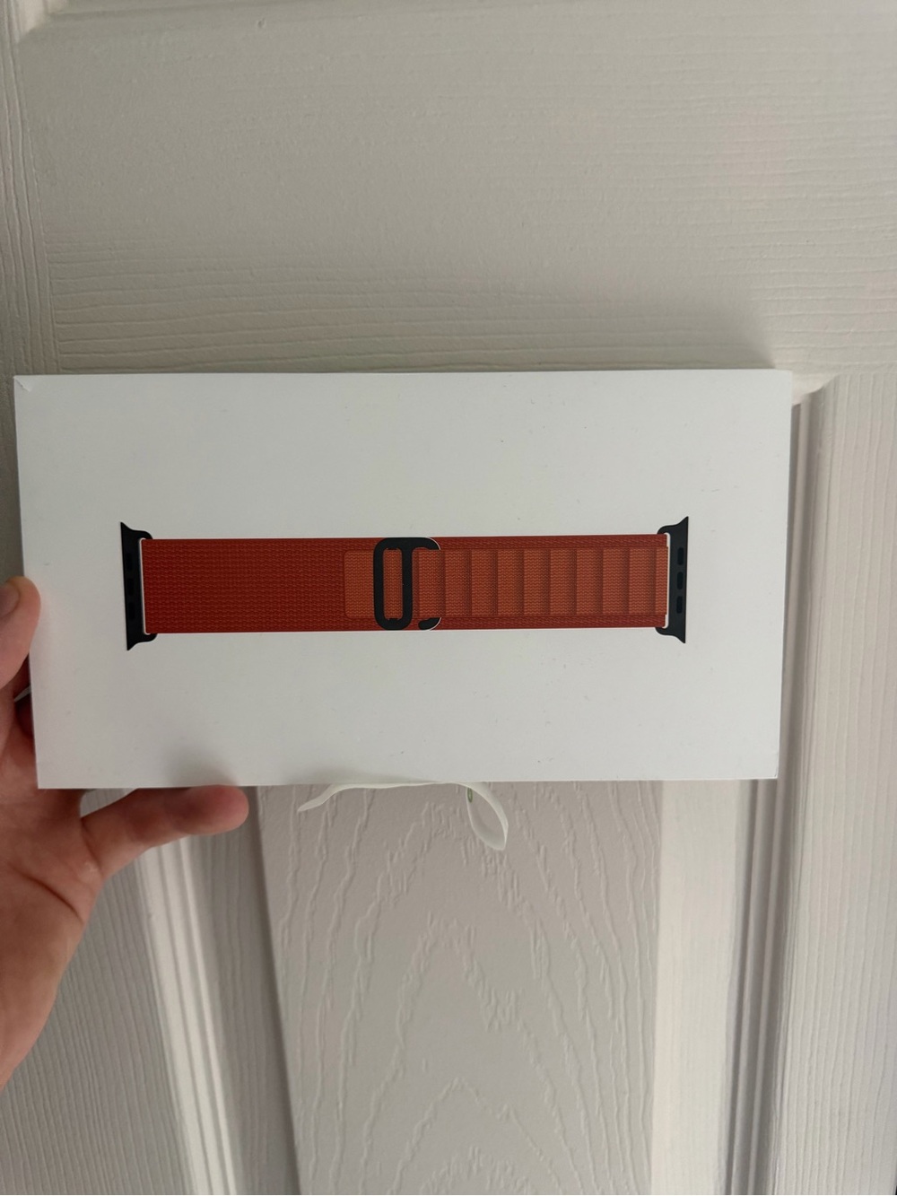 Alpine Loop Terracotta Braided Apple Watch Band